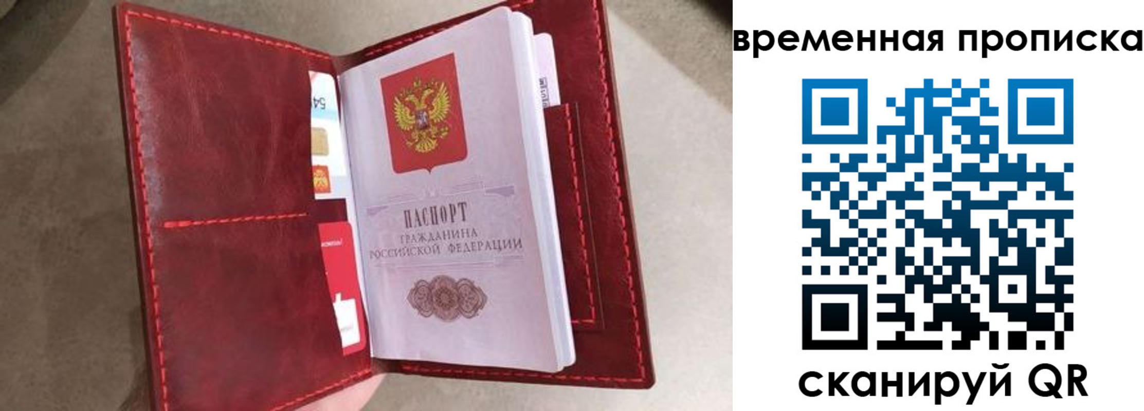 прописка в Щиграх
